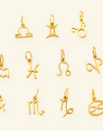 Zodiac Charm